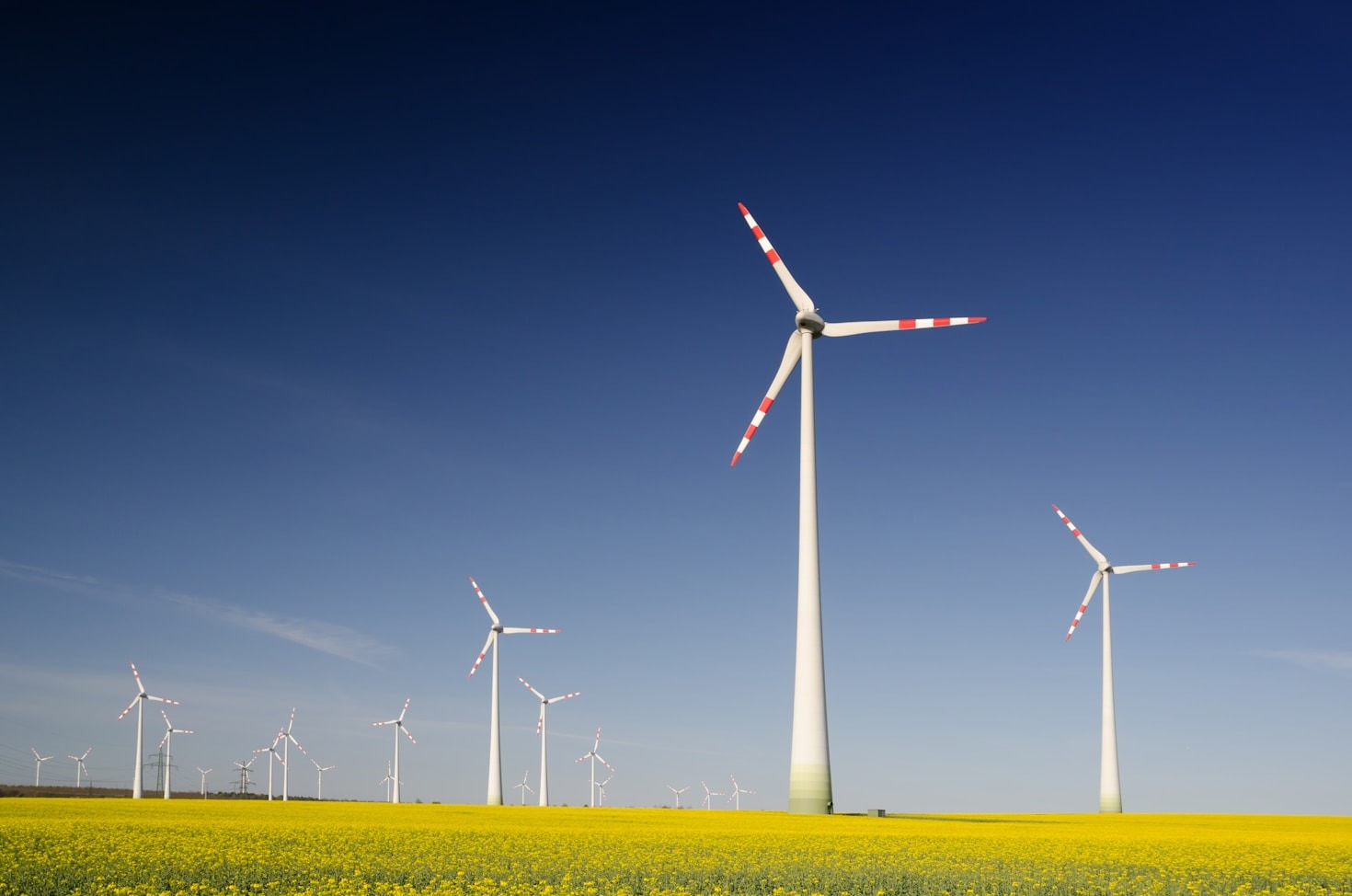 Os Benefícios da Arquitetura Eco-Friendly